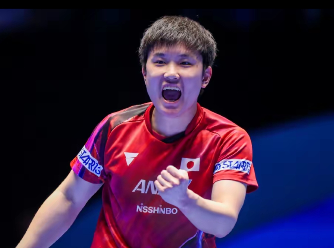 有分析认为 有分析认为