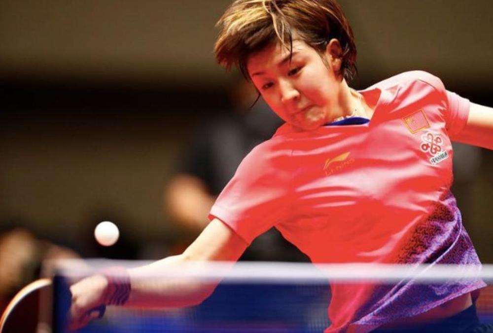 樊振东回归 樊振东回归